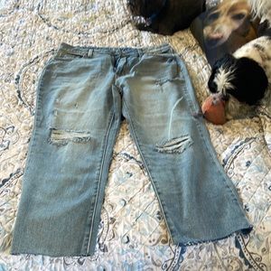 Jean brand new never used